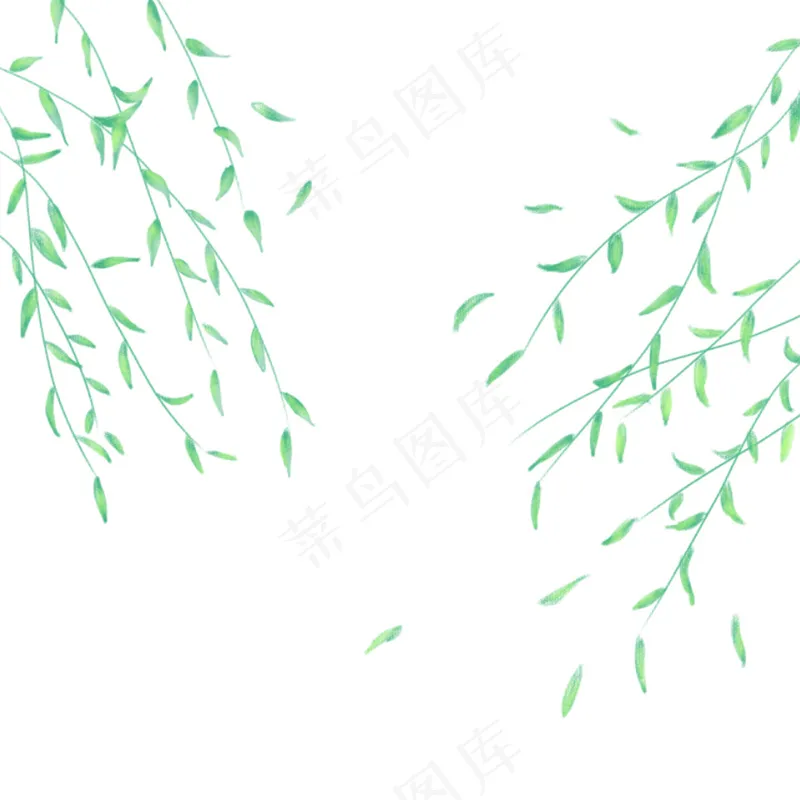 柳叶素材 柳枝素材 柳树素材psd模版下载