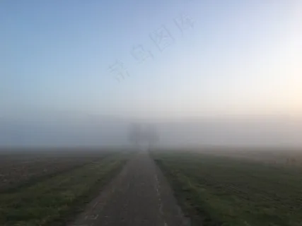 云雾森林图片 云雾森林图片