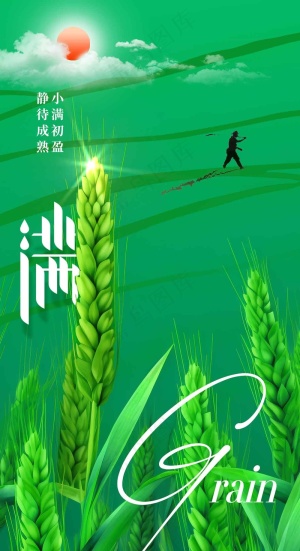 小满节气传统海报