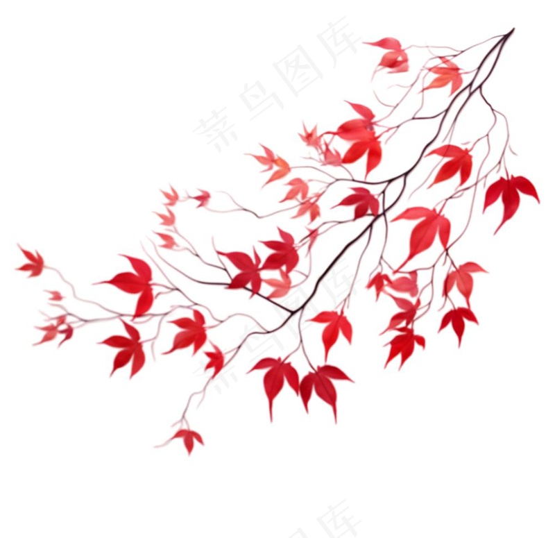 红色枫叶秋季卡通插画免抠(1056x1024)