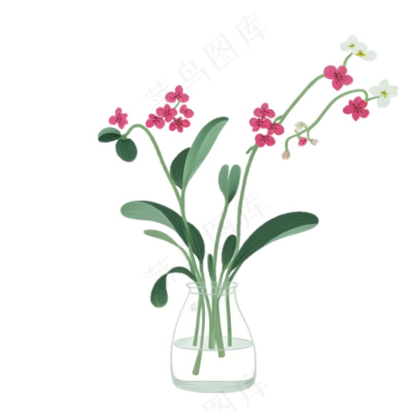 蝴蝶兰 蜡笔风 免抠透明底