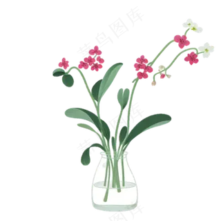 蝴蝶兰 蜡笔风 免抠透明底