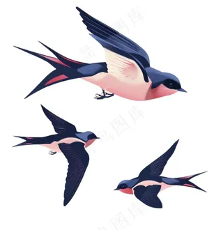 大雁燕子春天鸟元素卡通插画免抠
