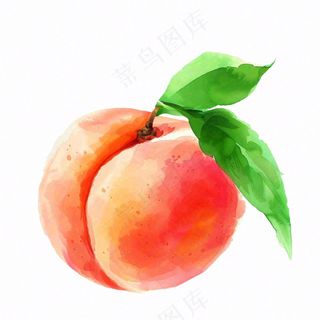 水蜜桃桃子水果水彩插画免抠