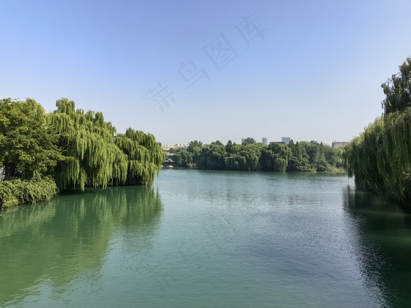 碧水垂柳图