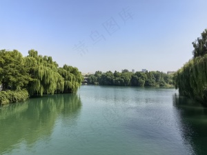 碧水垂柳图
