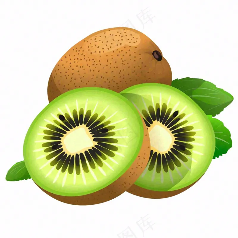猕猴桃水果卡通插画免抠(1024x1024)