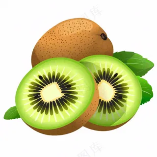 猕猴桃水果卡通插画免抠