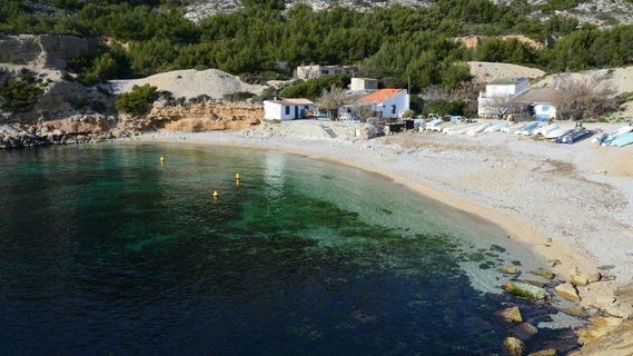 宁静海湾的悠闲午后