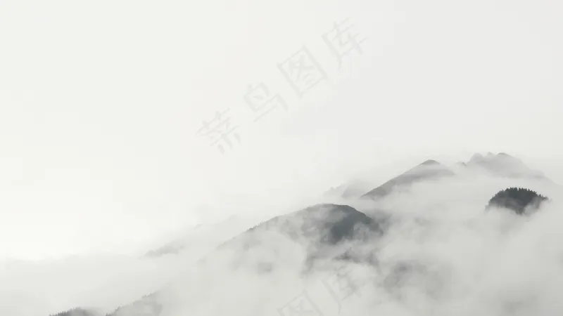 云雾森林图片