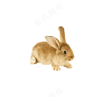 免抠兔子素材