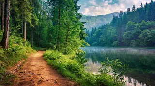 森林湖泊山林小路高山摄影图