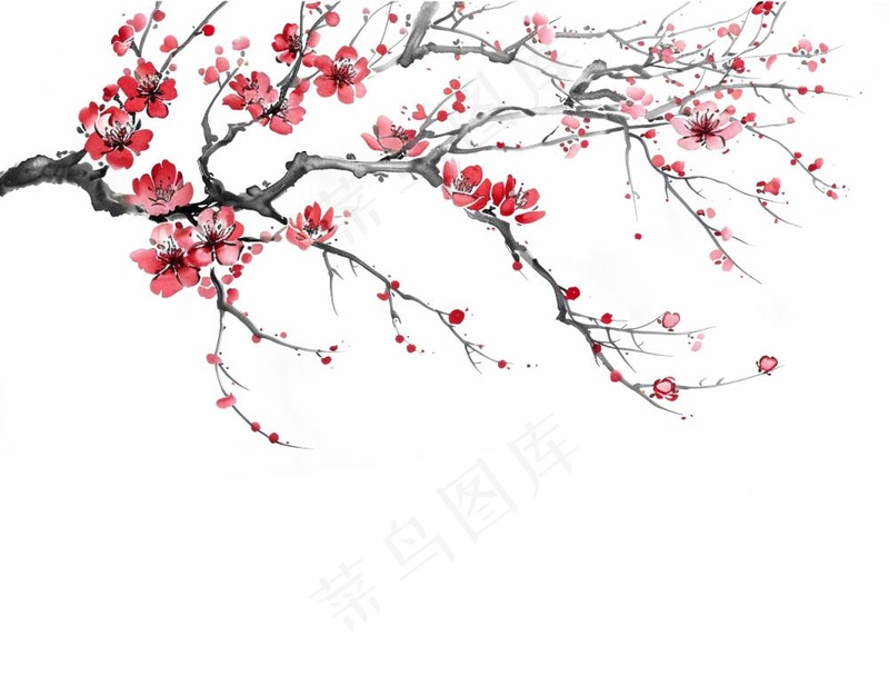 梅花寒梅水墨画中国风插画免抠(1264x960)