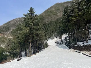 早上的雪景