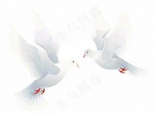 飞鸽白鸽和平鸽鸟卡通插画免抠