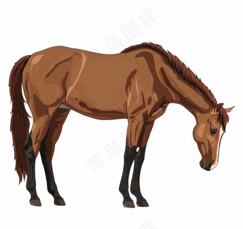 骏马马匹动物卡通插画免抠(1088x1024)
