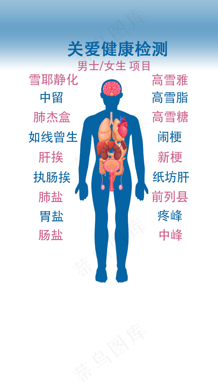 健康检测人体图