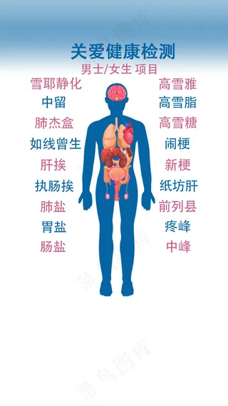 健康检测人体图