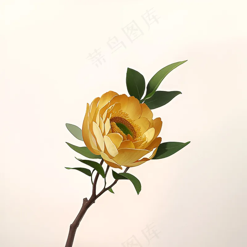 白色黄色手绘新中式风格花植物81