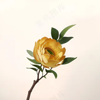 白色黄色手绘新中式风格花植物81