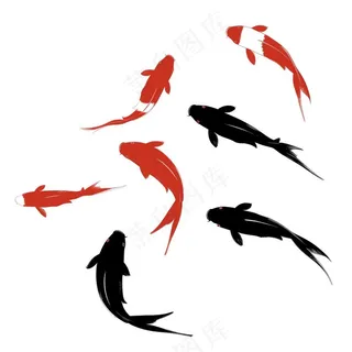 锦鲤红黑水墨画中国风插画免抠