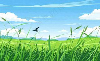 春天草场莺飞小麦地绿色麦苗小满芒种立夏卡通插画背景