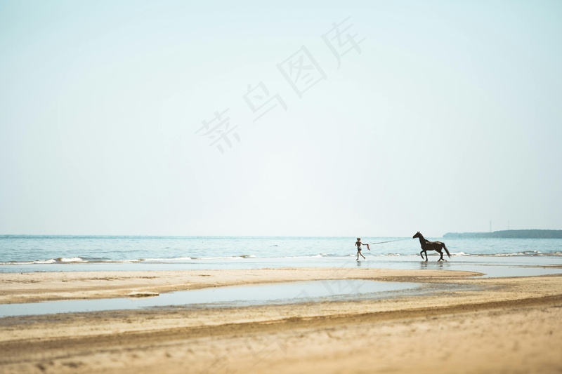 晨光下海滩上的人与马