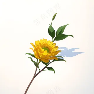 白色黄色手绘新中式风格花植物70 白色黄色手绘新中式风格花植物70