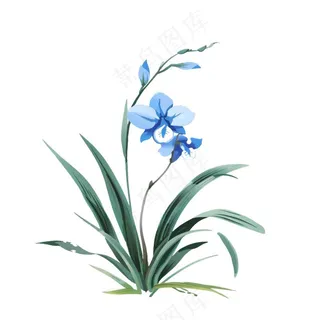 兰花水墨画中国风彩绘插画免抠