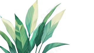 绿叶热带植物手绘插画插图免抠