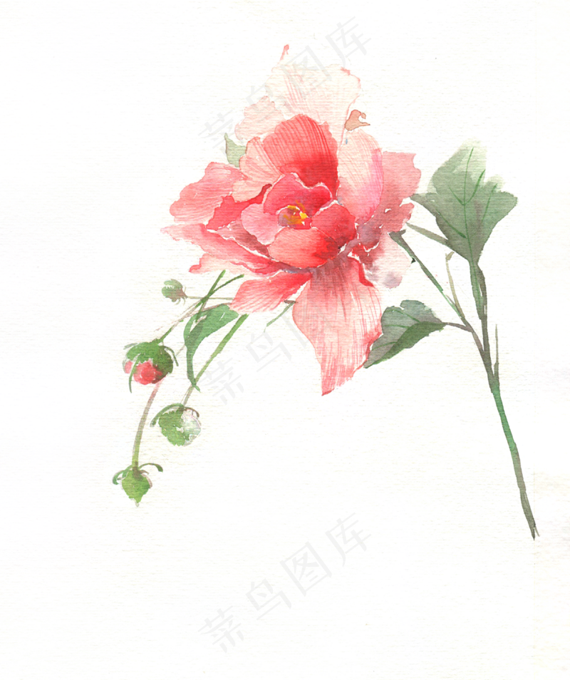 清新花朵背景230免扣图片