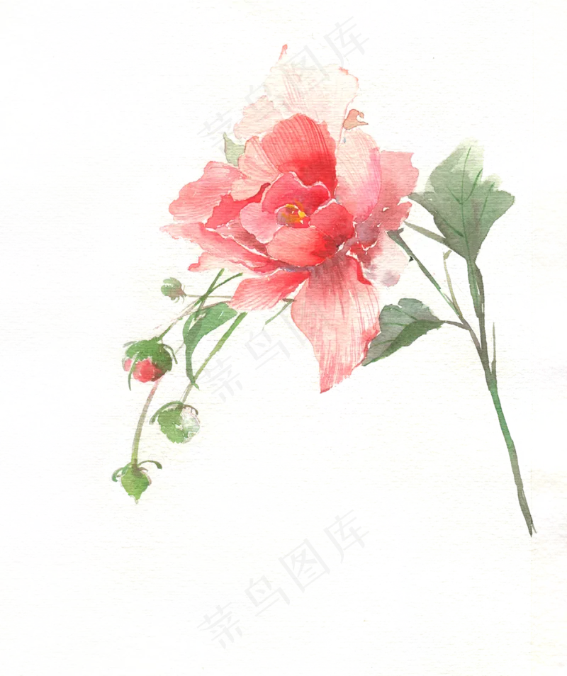 清新花朵背景230免扣图片