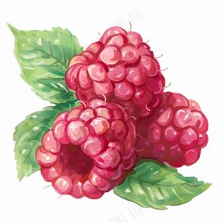 树莓水果莓果卡通插画免抠