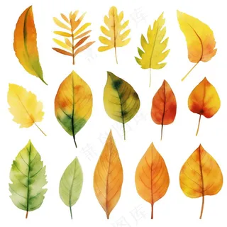 秋天落叶黄叶水彩画卡通插画免抠