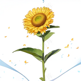 黄色向日葵免抠素材96