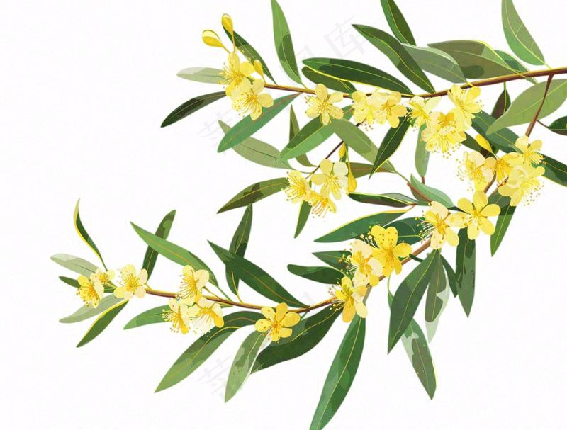 金秋桂花黄花树枝卡通插画免抠(1264x960)