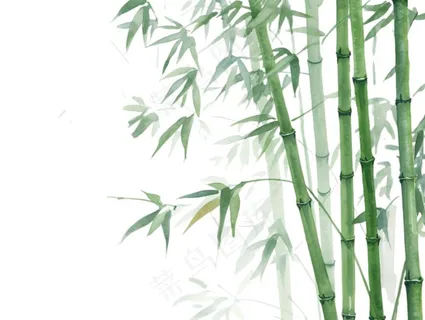竹林竹子水墨画墨绿插画免抠 竹林竹子水墨画墨绿插画免抠