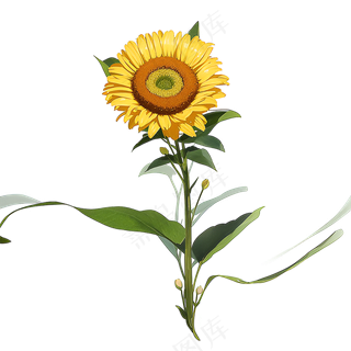 黄色向日葵免抠素材64