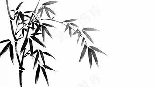 水墨竹子竹叶黑白插画免抠