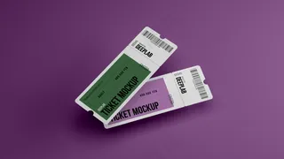 单色背景精致可撕门票正反两面16样机