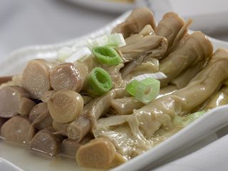 LCSC3343鲜味蔗菜（含光）