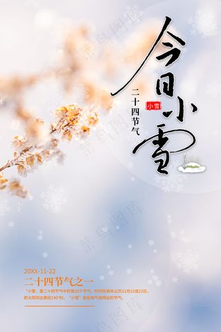 小雪传统24节气海报模板498