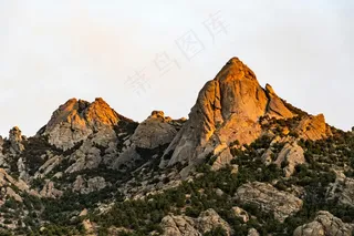 金色的山峰