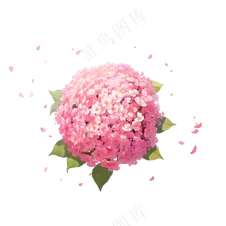 粉色花朵桃花玫瑰免抠素材61