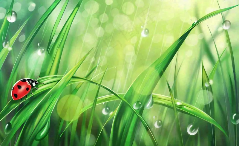 惊蛰雨水谷雨春天瓢虫昆虫绿色嫩草下雨天卡通插画背景(1408x864)