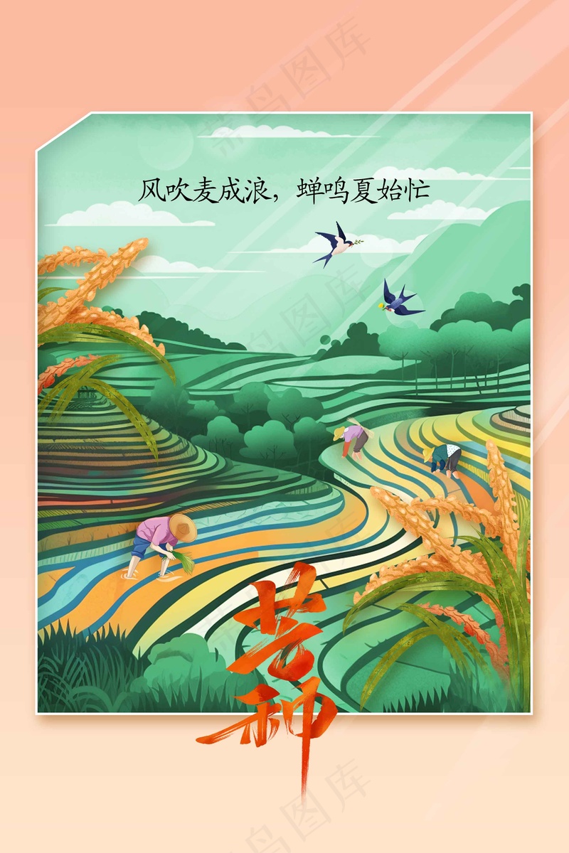 芒种节气传统活动海报psd模版下载