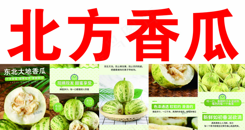 北方香瓜小瓜psd模版下载