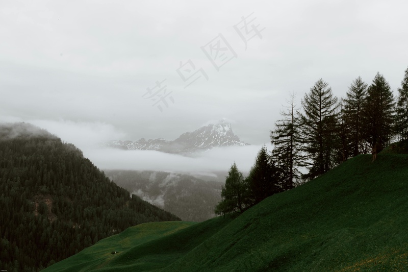 云雾缭绕的山脉与绿色森林