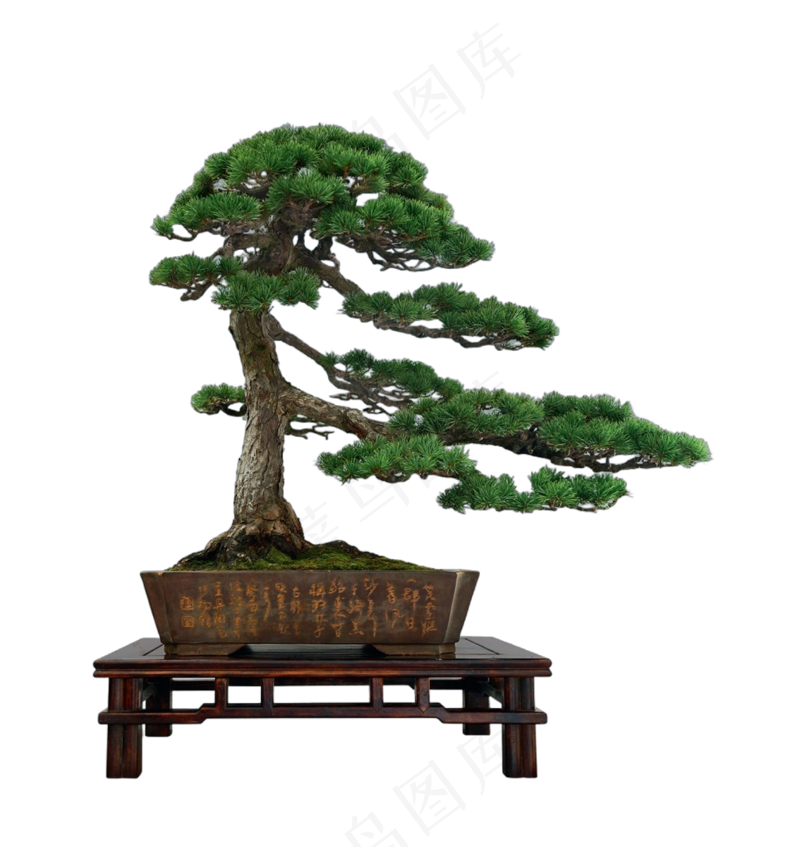 免抠盆景植物