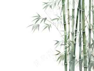 竹林竹子水墨画墨绿插画免抠
